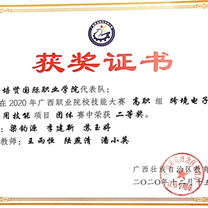 我院电子商务专业代表队获2020年广西职业院校技能大赛高职组跨境电子商务二等奖