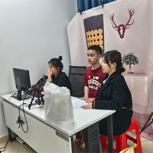 学生直播电商实训